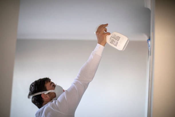 Best Affordable Mold Removal  in Circle Pines, MN